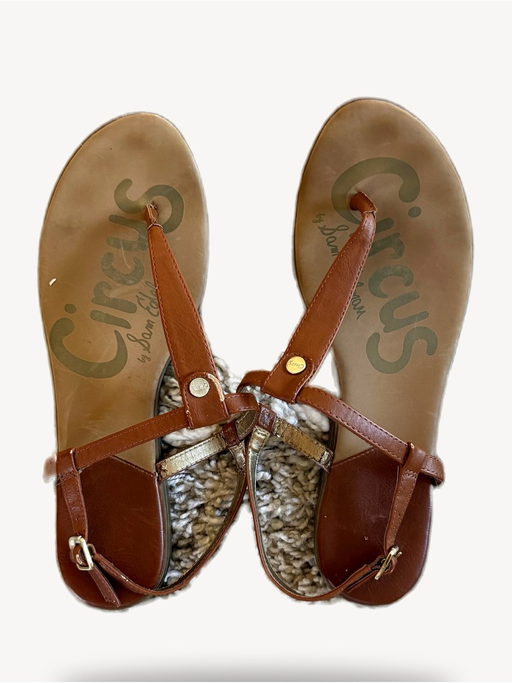 Circus by Sam Edelman Brown T-Strap Leather Sandals with Metallic Accent